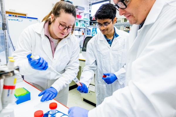 Students working in Bode Lab