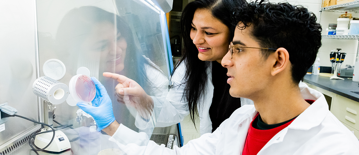 Researcher examines petri dish in molecular core lab